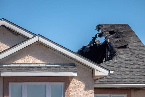 Top rated local Fire Damage Removal specialists in Gotha, FL